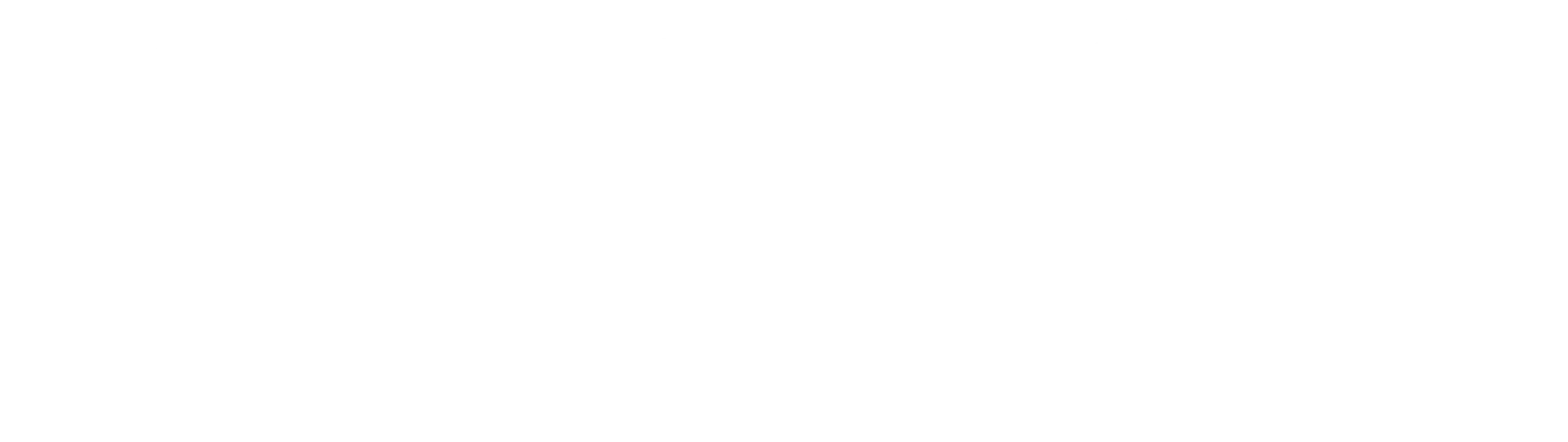 Anchor Logo white -01-01