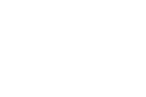 Paradox Technology Services logo